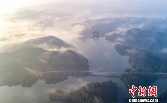植物大战僵尸17